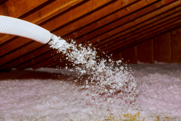 Best Commercial Insulation in Robstown, TX
